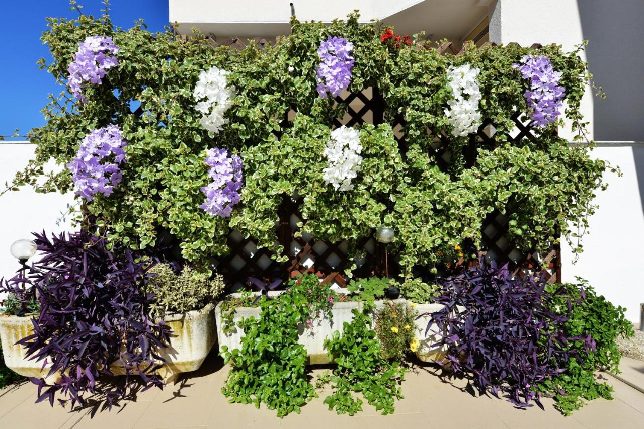 Apartment Lavender Vir Εξωτερικό φωτογραφία
