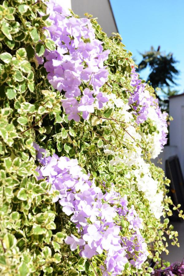 Apartment Lavender Vir Εξωτερικό φωτογραφία